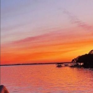 Meet your Posher, Riley